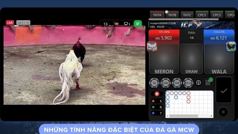 Những tính năng đặc biệt của đá gà mcw