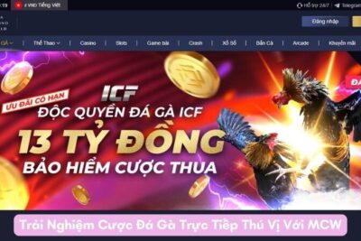 Trải Nghiệm Cược Đá Gà Trực Tiếp Thú Vị Với MCW